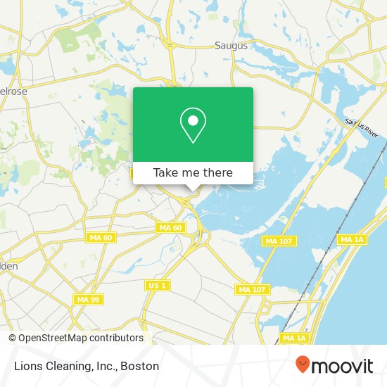 Mapa de Lions Cleaning, Inc.