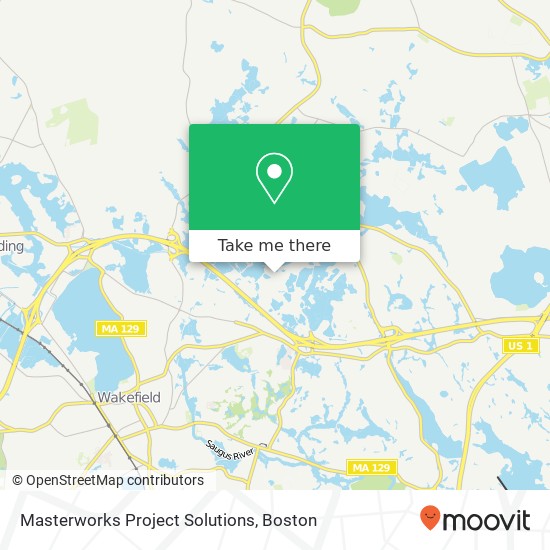 Masterworks Project Solutions map