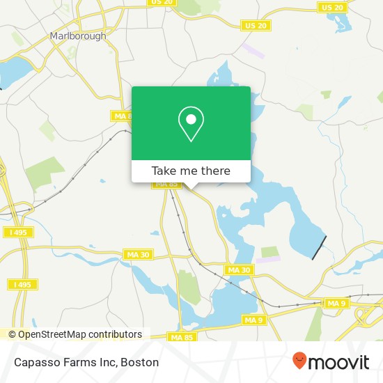 Capasso Farms Inc map