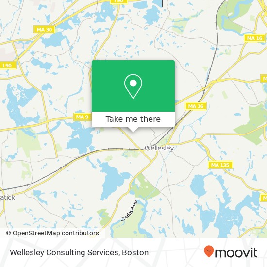 Mapa de Wellesley Consulting Services