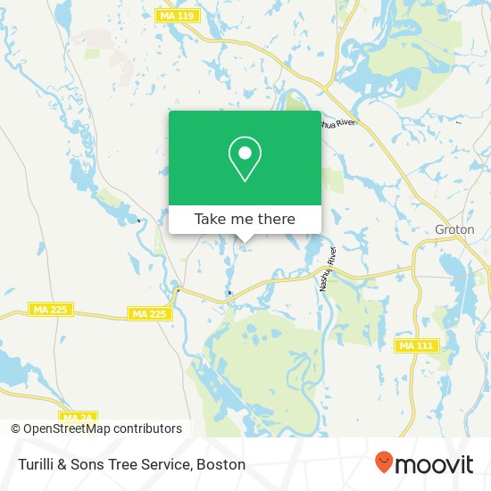 Turilli & Sons Tree Service map