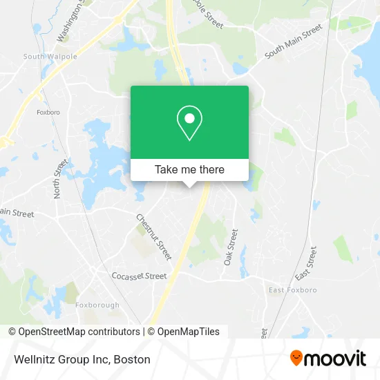 Wellnitz Group Inc map