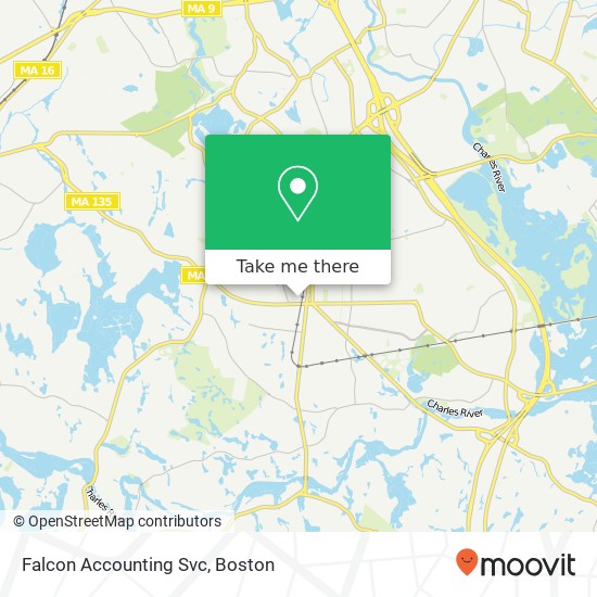 Falcon Accounting Svc map