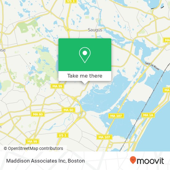 Maddison Associates Inc map