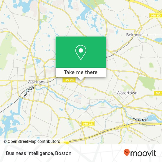 Business Intelligence map