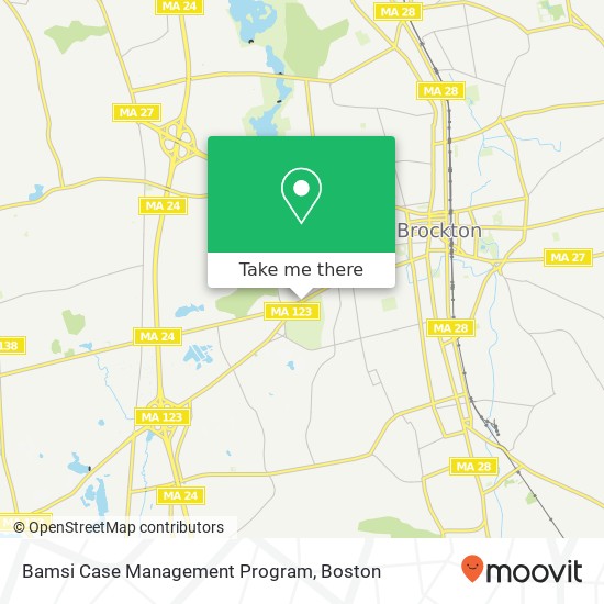 Bamsi Case Management Program map