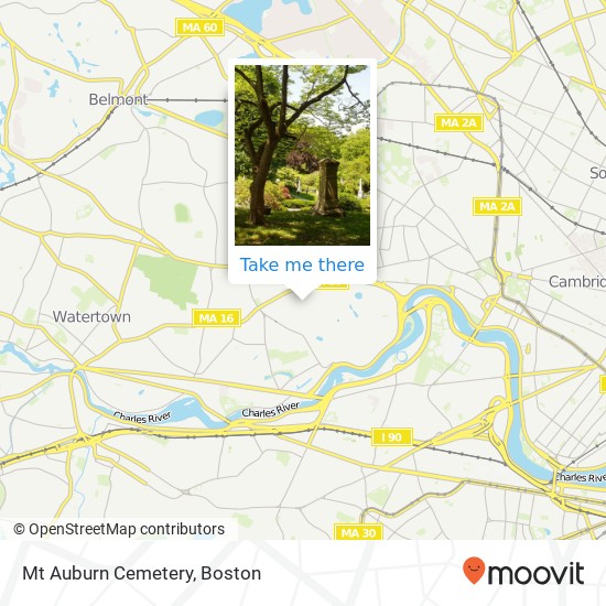 Mt Auburn Cemetery map