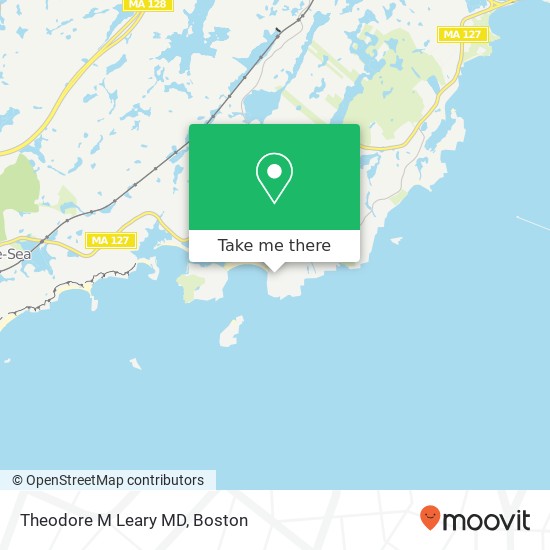 Mapa de Theodore M Leary MD