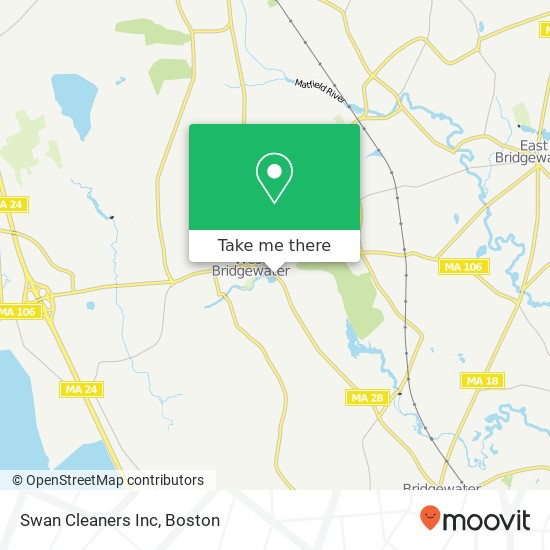 Swan Cleaners Inc map