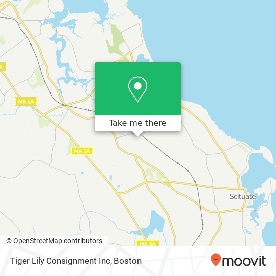 Tiger Lily Consignment Inc map