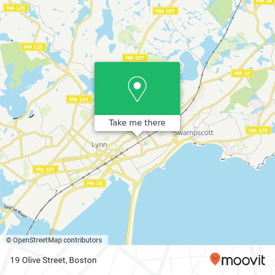 19 Olive Street map