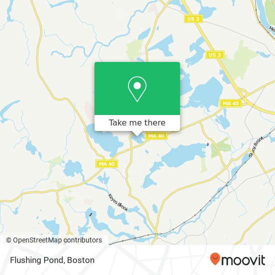 Mapa de Flushing Pond