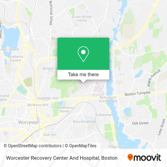 Worcester Recovery Center And Hospital map