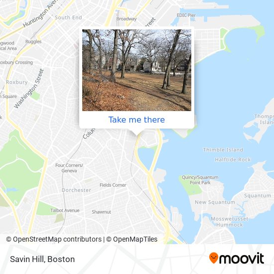 Savin Hill map