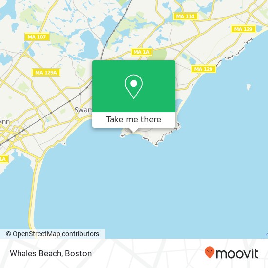 Whales Beach map