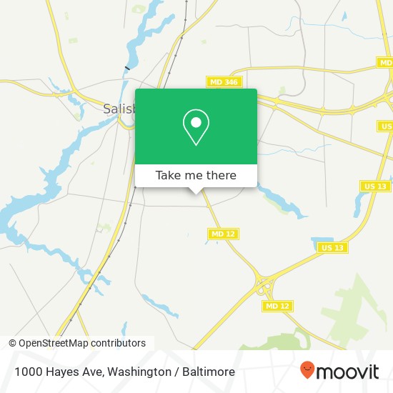 1000 Hayes Ave, Salisbury, MD 21804 map