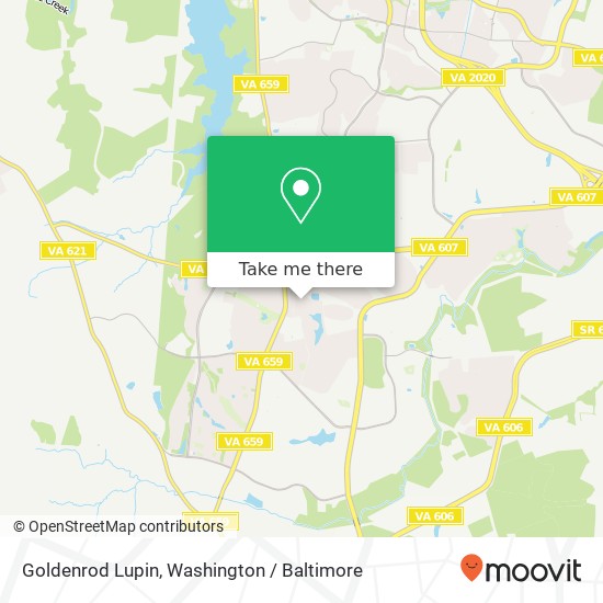 Goldenrod Lupin, Ashburn, VA 20148 map