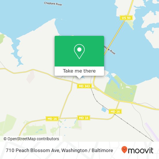 710 Peach Blossom Ave, Cambridge, MD 21613 map