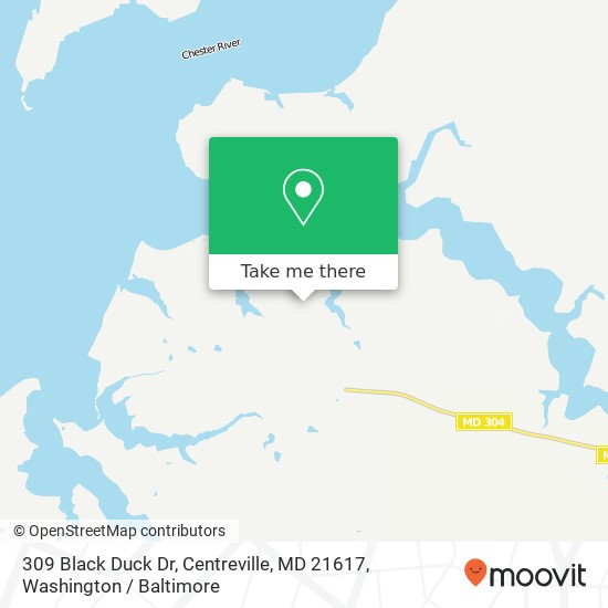 309 Black Duck Dr, Centreville, MD 21617 map