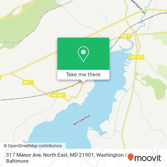 Mapa de 317 Manor Ave, North East, MD 21901