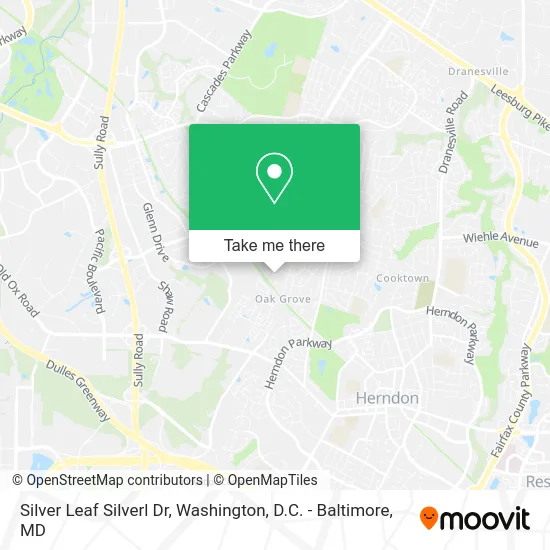 Silver Leaf Silverl Dr map
