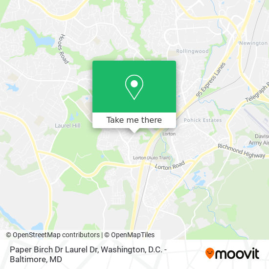 Mapa de Paper Birch Dr Laurel Dr