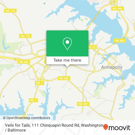 Mapa de Veils for Tails, 111 Chinquapin Round Rd