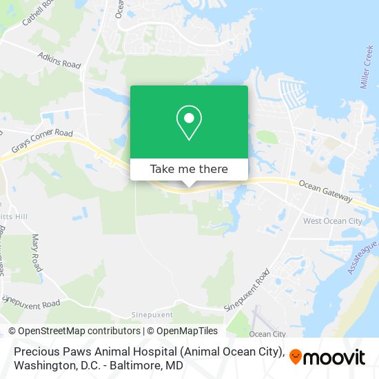Mapa de Precious Paws Animal Hospital (Animal Ocean City)