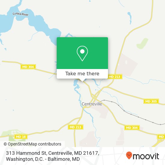 Mapa de 313 Hammond St, Centreville, MD 21617