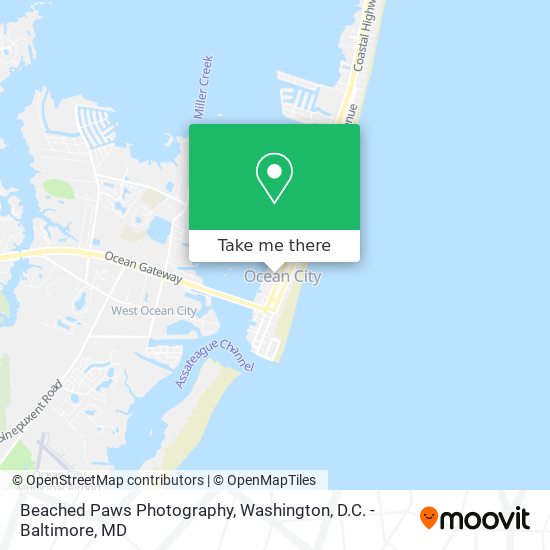 Beached Paws Photography map