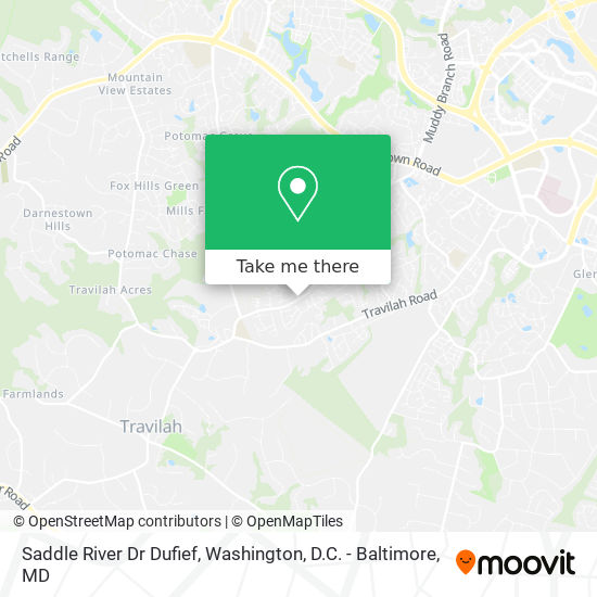 Mapa de Saddle River Dr Dufief