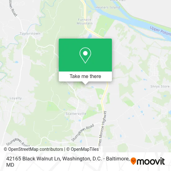 42165 Black Walnut Ln map