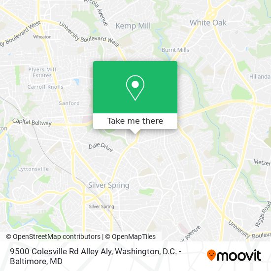 Mapa de 9500 Colesville Rd Alley Aly