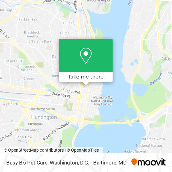 Busy B's Pet Care map