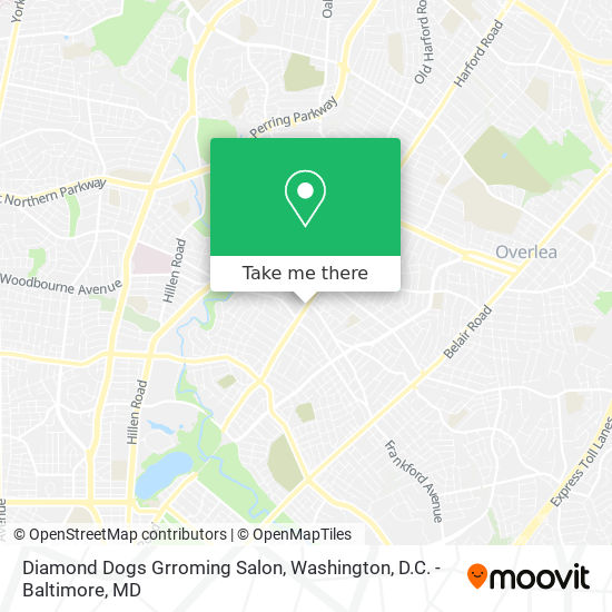 Diamond Dogs Grroming Salon map