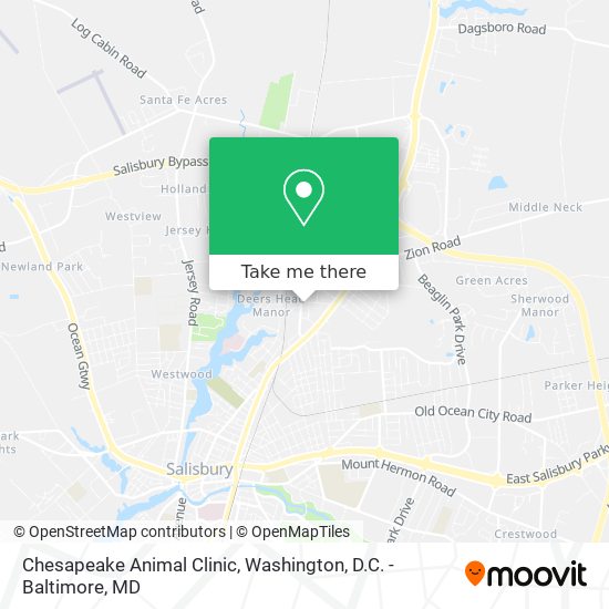 Chesapeake Animal Clinic map