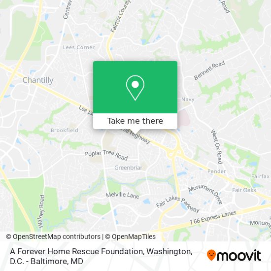 Mapa de A Forever Home Rescue Foundation