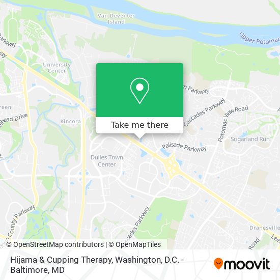 Mapa de Hijama & Cupping Therapy