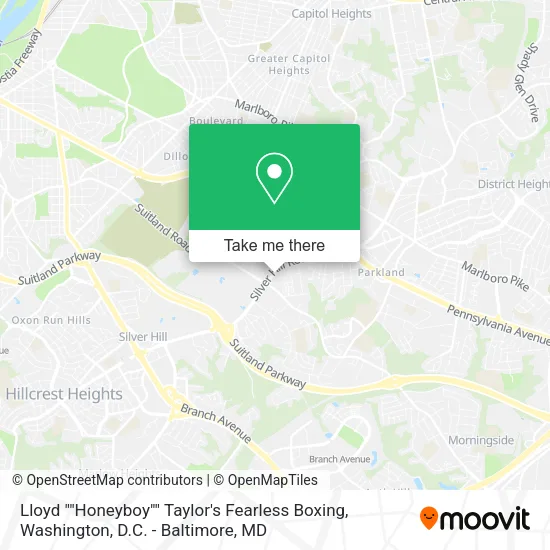 Lloyd ""Honeyboy"" Taylor's Fearless Boxing map