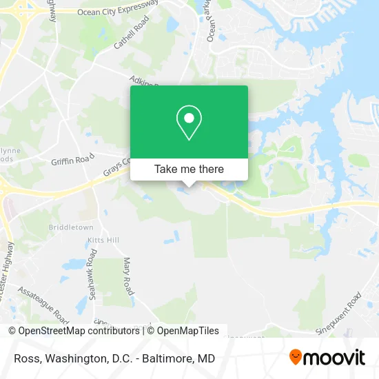Mapa de Ross
