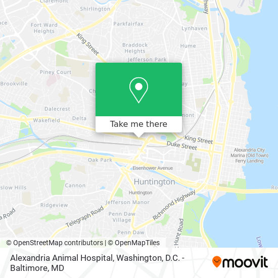 Mapa de Alexandria Animal Hospital