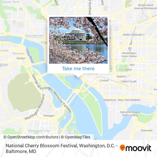 Mapa de National Cherry Blossom Festival