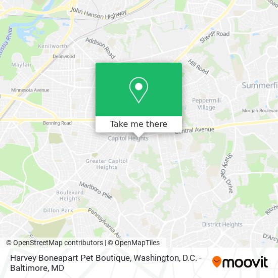 Harvey Boneapart Pet Boutique map