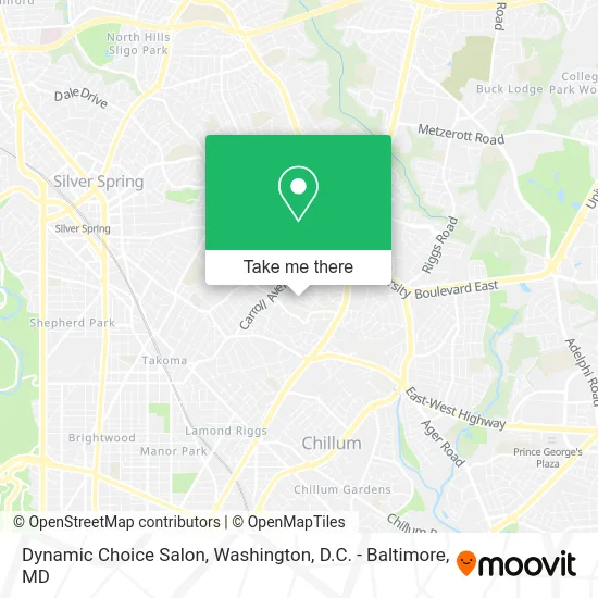 Dynamic Choice Salon map
