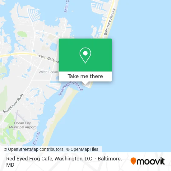 Red Eyed Frog Cafe map