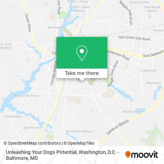 Mapa de Unleashing Your Dogs Potential