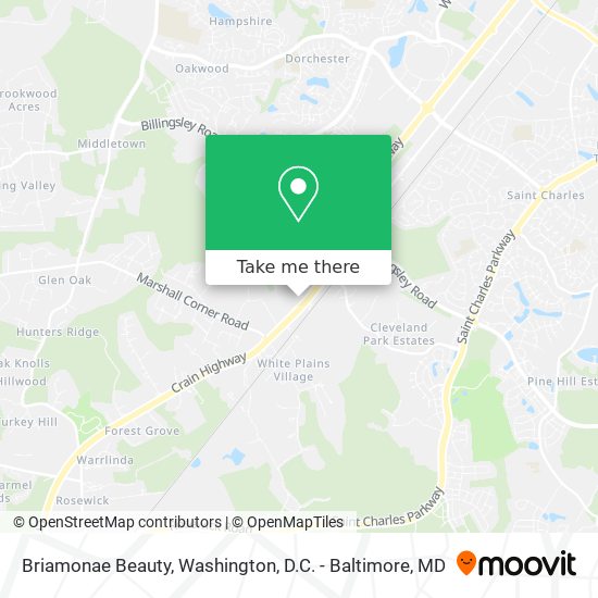 Briamonae Beauty map