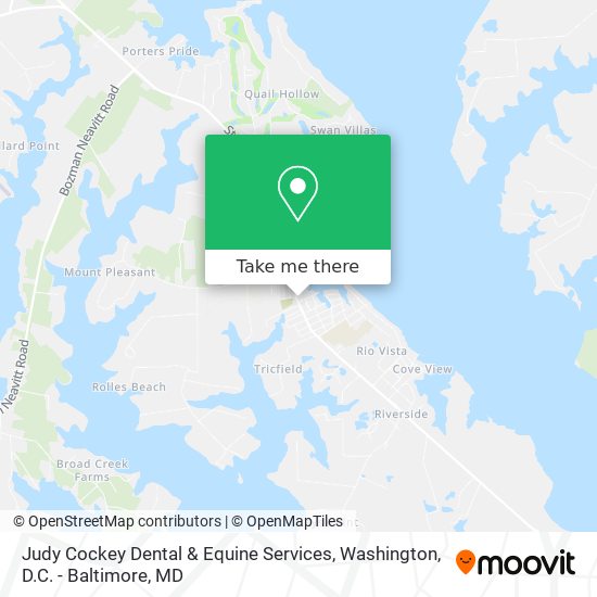 Judy Cockey Dental & Equine Services map