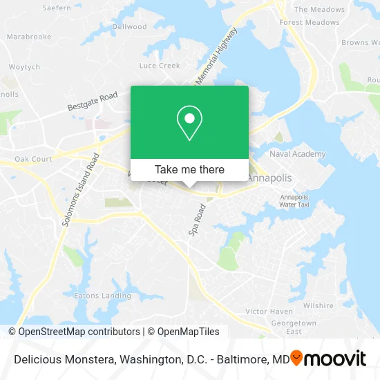 Delicious Monstera map