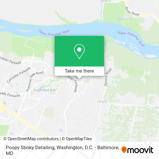 Poopy Stinky Detailing map